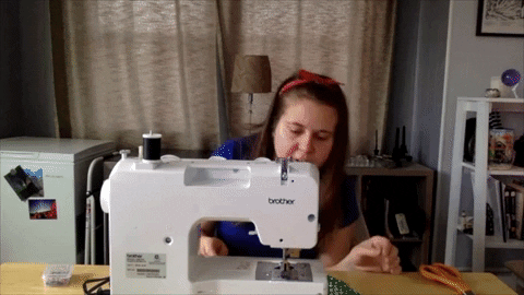 BDN_sschipani giphygifmaker GIF