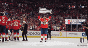 Stanley Cup Playoffs Win GIF by NHL