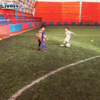football soccer GIF