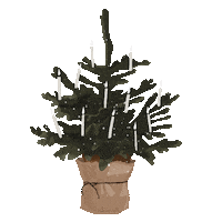 Merry Christmas Sticker