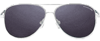 Sun Sunglasses Sticker by Michael Kors