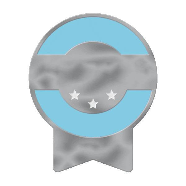 Piloto Aire Sticker by VirtualFly