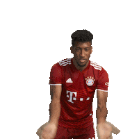 Lets Go Motivation Sticker by FC Bayern Munich