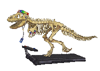 cinicgames runner trex museo t rex Sticker