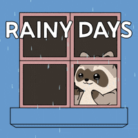 Bitcoin Rain GIF by Ordinary Frends