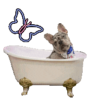 Dog Spa Sticker by VelvetDoorSpa