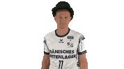 Handball-Bundesliga Fun Sticker by LIQUI MOLY HBL