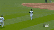 Major League Baseball Sport GIF by MLB