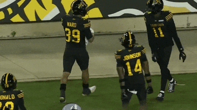 Tiger-Cats Football GIF by Hamilton Sports Group
