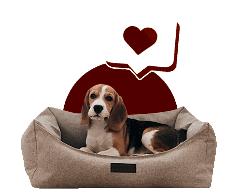 Лежанка Для Собак Sticker by PET BED
