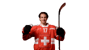 Celebrate National Team Sticker by Swiss Ice Hockey