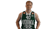Basketball Hoops Sticker by Basket_fi