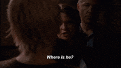 katie lowes scandal GIF by ABC Network