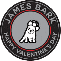 Valentines Day Love Sticker by James Bark