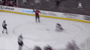 goal dc GIF by Capitals