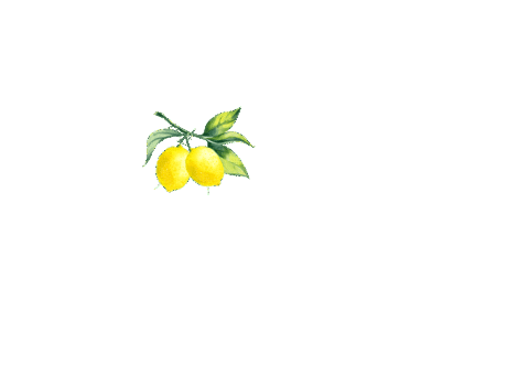 Corona Lemon Sticker by handz