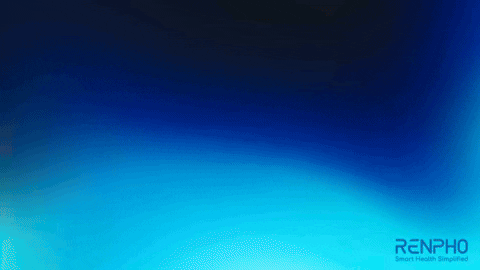 Fitness 3D GIF by RENPHO
