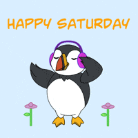 Saturday Morning Cheers GIF by Puffins