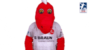 Handball-Bundesliga Yes GIF by LIQUI MOLY HBL
