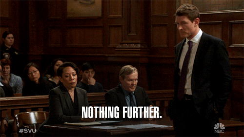 Nothign Further GIF by SVU