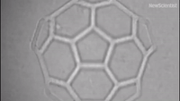 Buckyball-shaped scaffold makes stem cell tissue growth faster