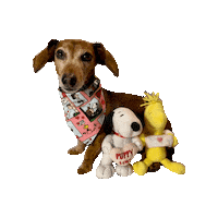 Puppy Love Valentine Sticker by Geekster Pets