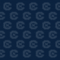 Cnms19 GIF by Carson-Newman Athletics