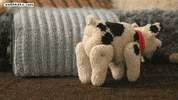 nudinits fun comedy poop pig GIF