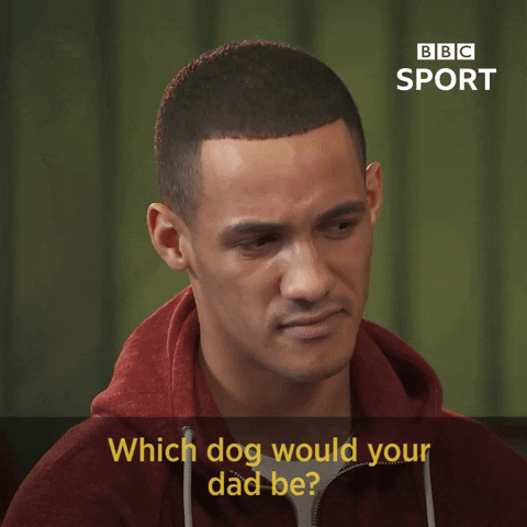 confused bbc sport GIF by BBC