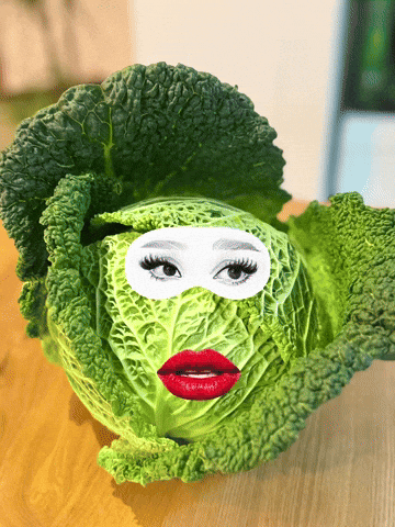 Cabbage Wirsing GIF