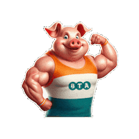 Pig Suinocultura Sticker by BTA Aditivos