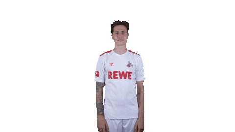 1 Fc Cologne Football Sticker by 1. FC Köln