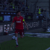 1 Fc Cologne Football GIF by 1. FC Köln