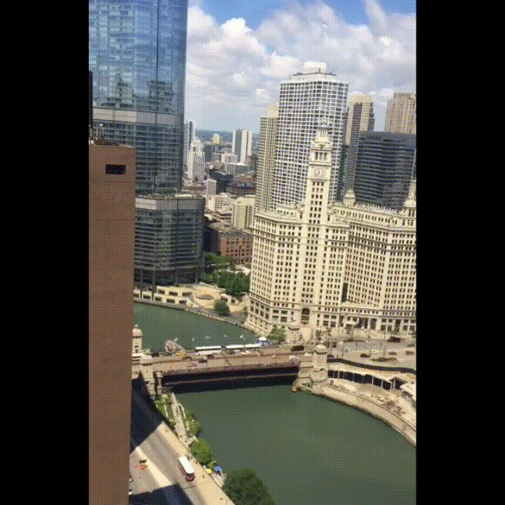 chicago river GIF