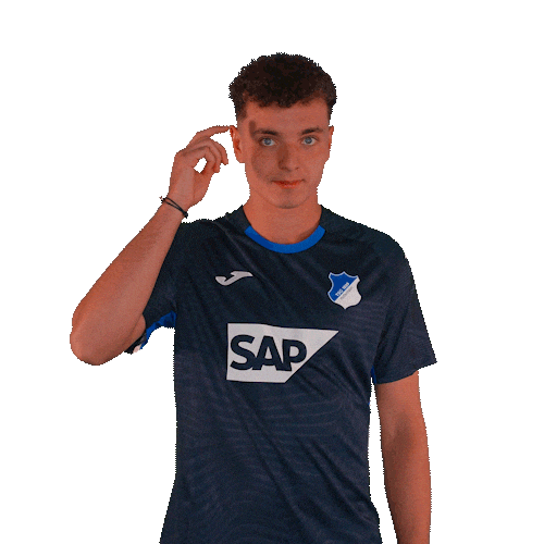 Sport Bundesliga Sticker by TSG Hoffenheim