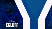Soccer Bundesliga GIF by Karlsruher SC