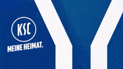 Soccer Goal GIF by Karlsruher SC