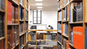motivation finals GIF by University of Kansas