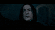 Snape GIF