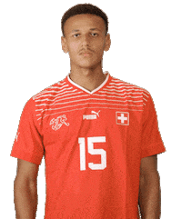 Switzerland Suisse Sticker by Swiss Football Association
