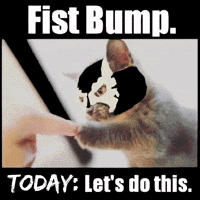 Motivation Fist Bump GIF