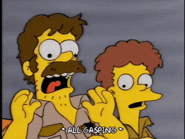 homer simpson todd flanders GIF