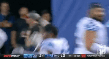 Detroit Lions Football GIF by NFL