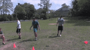 big cat kfc GIF by Barstool Sports