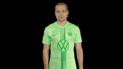 Bundesliga No GIF by VfL Wolfsburg