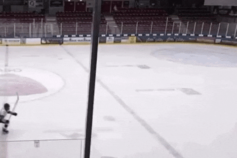 Folkets Puck GIF by FPHK Tortugas (Folkets Puck Hockeyklubb)