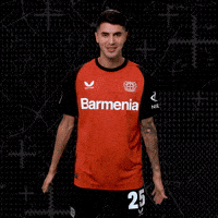 Lets Go Hype GIF by Bayer 04 Leverkusen