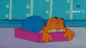 Cat Reaction GIF by Mola TV Kids