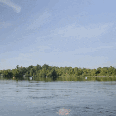 OttawaPublicHealth funny wow cold ottawa GIF