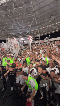 Vasco Da Gama GIF